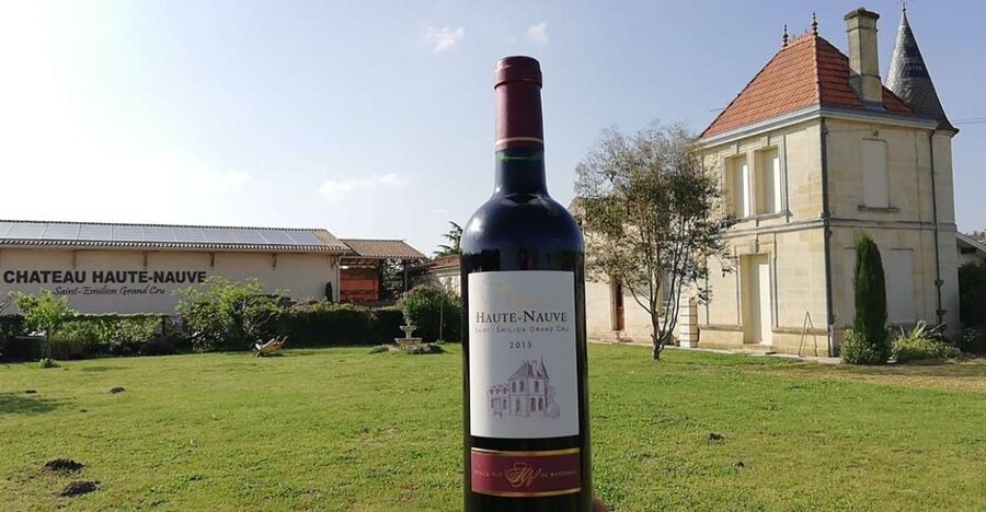 Saint-Émilion: Vineyard Walking Tour and Tasting - Four wines, including two Grand Cru appellations