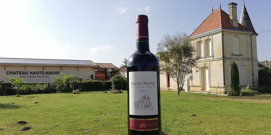 Saint-Émilion: Vineyard Walking Tour and Tasting - Starting among the Saint-Émilion vines