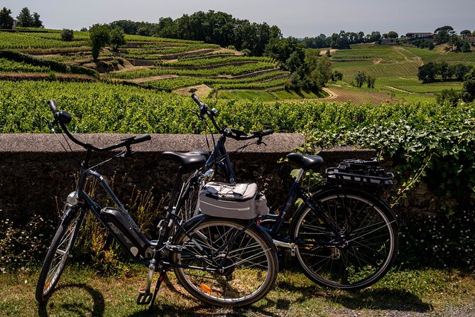 Saint-Émilion Wine Tour By Premium Electric Bike, Lunch Included - Six things that make this tour worth considering