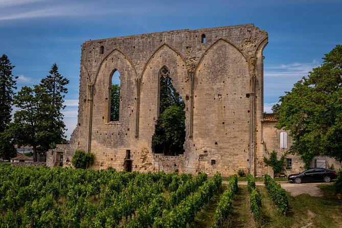 Saint-Émilion Wine Tour By Premium Electric Bike, Lunch Included - What the $201.14 price includes