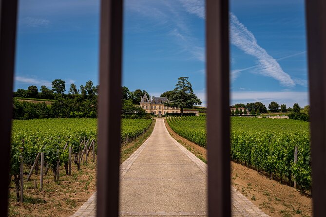 Saint-Émilion Wine Tour By Premium Electric Bike, Lunch Included - Guides, group style, and comfort
