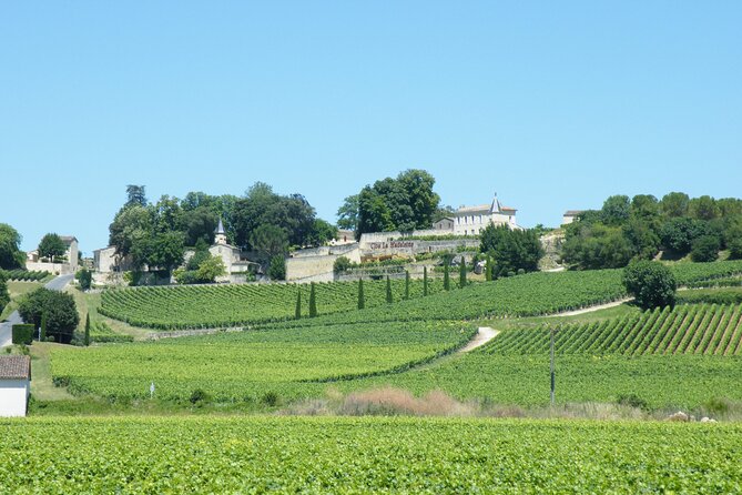 Saint Emilion Wine Tour Tasting Half Day from Bordeaux - Saint-Émilion village: medieval streets and limited time