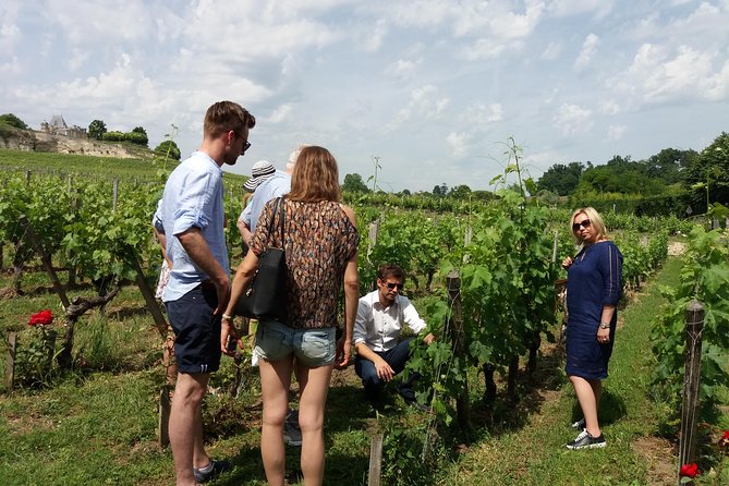 Saint Emilion Wine Tour Tasting Half Day from Bordeaux - Which wines and people suit this tour best?