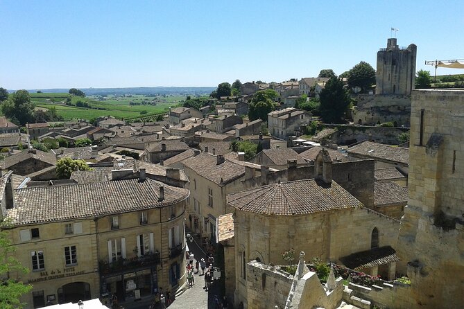 Saint Emilion Wine Tour Tasting Half Day from Bordeaux - Second winery: family methods and organic wine