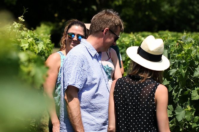 Saint-Emilion Winery Morning Tour with Local Guide - Who should book this Saint-Émilion tour?
