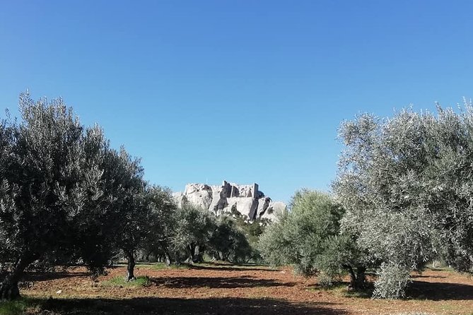 Saint Remy, Les Baux and Pont du Gard Small Group Half-Day Trip - The guide can shape the whole afternoon