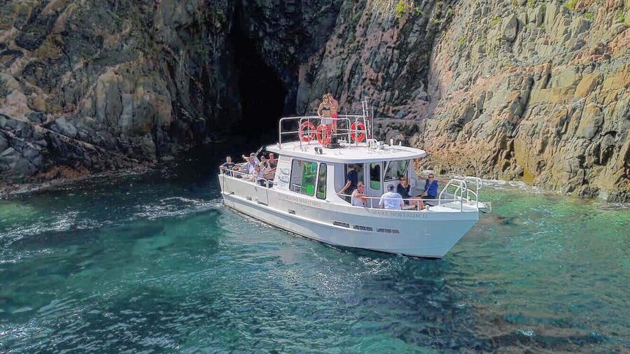 Scandola: Visit the Nature Reserve from Porto (France) - Key Points Before You Book