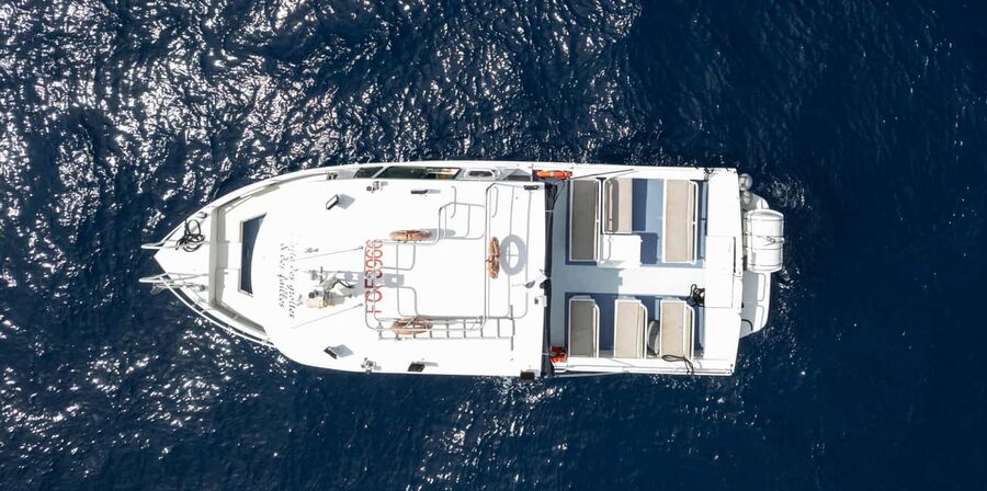 Scandola: Visit the Nature Reserve from Porto (France) - Why This Porto Boat Trip Is Worth Your Time