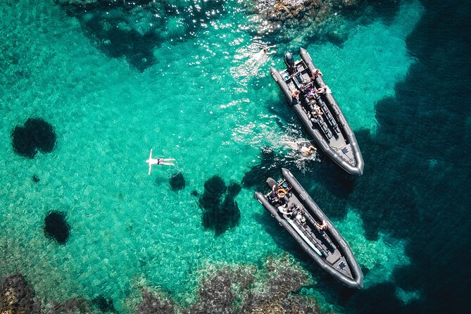 Sea excursion - Estérel Massif by boat - Why This Estérel Boat Trip Is Worth Your Time