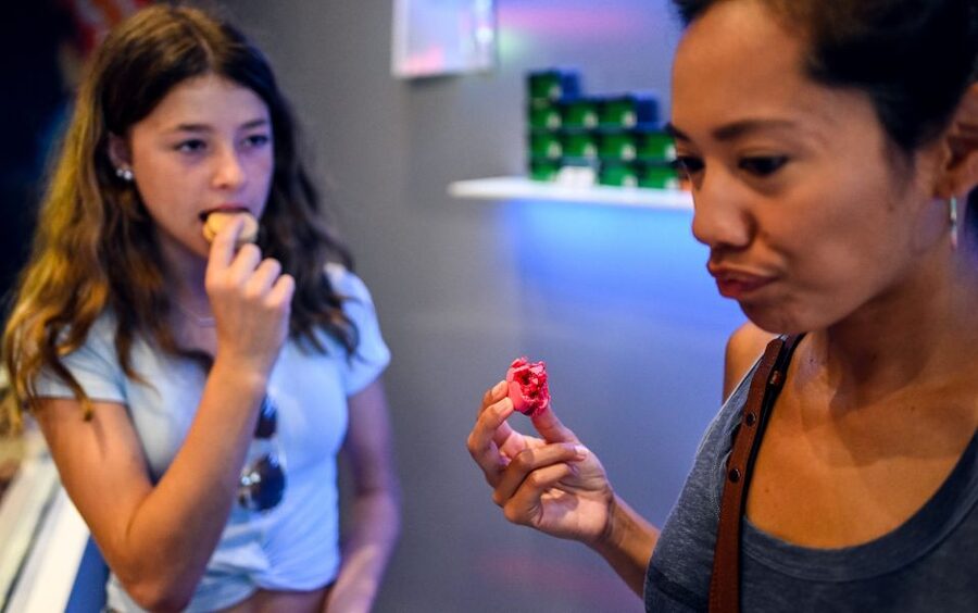 Secret Food Tours Notre Dame - The Heart of Paris - Crossing Île Saint-Louis with a macaron