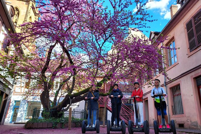 Segway Tours 2h in Colmar - Who will enjoy this tour most?