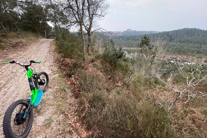 Seignosse electric scooter excursion - Through the Landes forest on sandy tracks