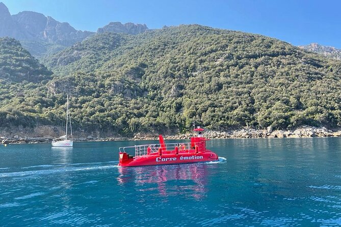 Semi-submarine: visit to the seabed of Porto Bay - Key details at a glance