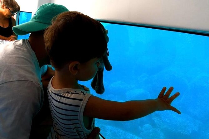 Semi-submarine: visit to the seabed of Porto Bay - What the semi-submarine visit actually covers