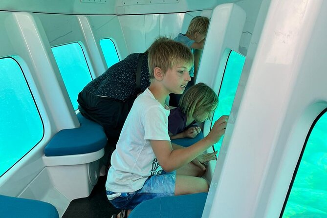 Semi-submarine: visit to the seabed of Porto Bay - Timing, meeting point, and planning the day