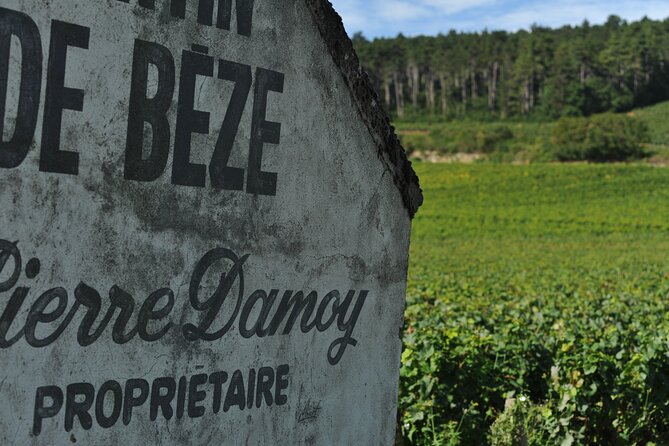 Small group Burgundy tour of Beaune with Wine Tasting from Dijon - One hour in Beaune