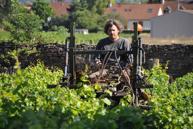 Small-Group Full-Day Tour of Côte de Nuits, Côte de Beaune Vineyards and Beaune Historical District - The afternoon tasting shows Burgundy’s other side