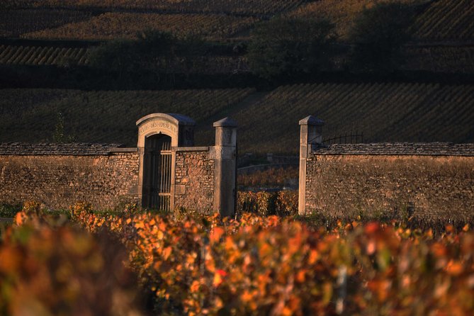 Small-Group Full-Day Tour of Côte de Nuits, Côte de Beaune Vineyards and Beaune Historical District - What the guides add to the day