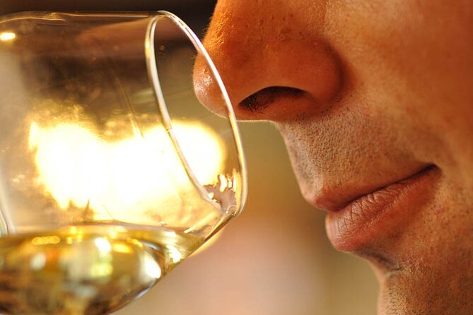 Small-Group Full-Day Tour of Côte de Nuits, Côte de Beaune Vineyards and Beaune Historical District - Is $161.32 a fair price?