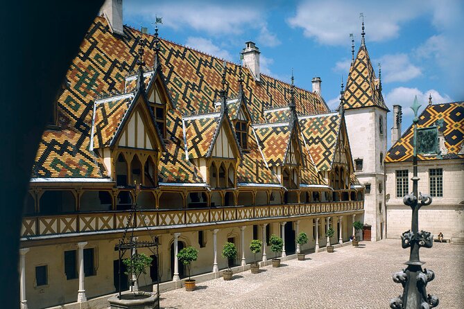 Small-Group Full-Day Tour of Côte de Nuits, Côte de Beaune Vineyards and Beaune Historical District - Who should book this experience?
