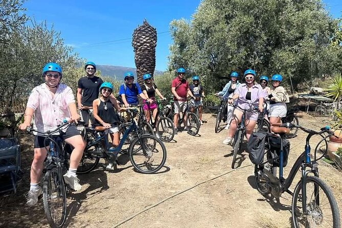 Small Group Guided E-bike Tour in Nice's Organic Vineyard - From Rue Berlioz to the Bellet hills