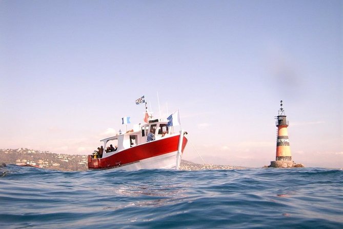 Snorkeling - By boat on site in the Bay of Cannes or Estérel - Is $52.98 a fair price?