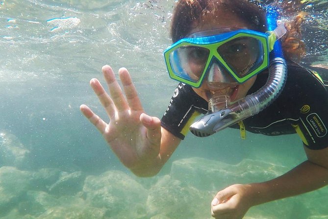 Snorkeling - By boat on site in the Bay of Cannes or Estérel - Timing matters more than the clock suggests