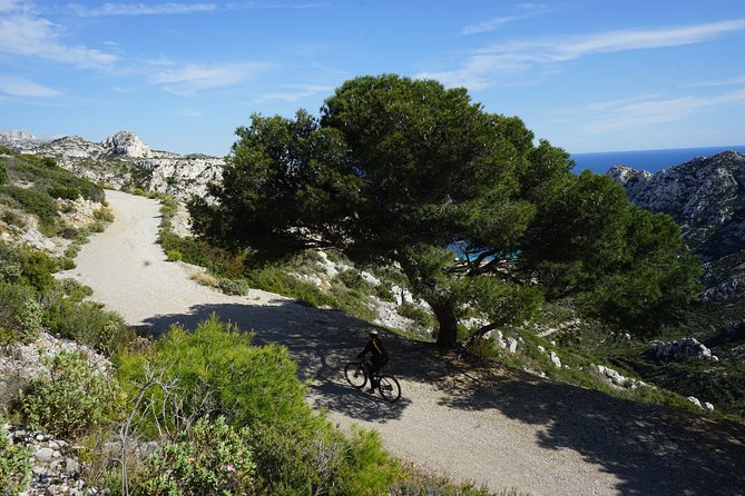 Sormiou Calanques National Park Electric Bike Tour from Marseille - How the Electric Bikes Change the Ride
