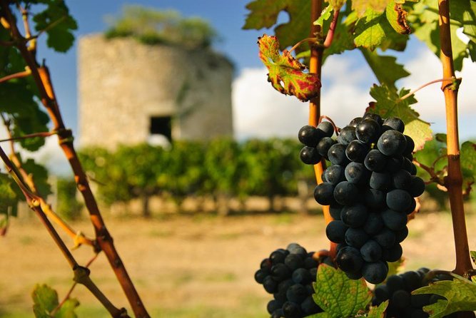 St-Emilion & Médoc Wine Day Tour: Chateaus, Tastings and Lunch - Key points to know before booking