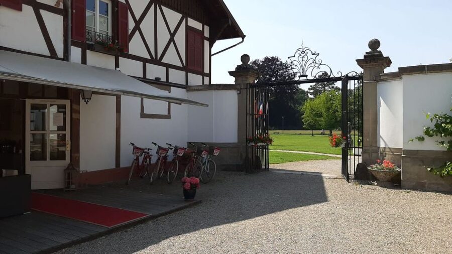 Strasbourg: 1-Day Bike Rental - Key points to know before renting