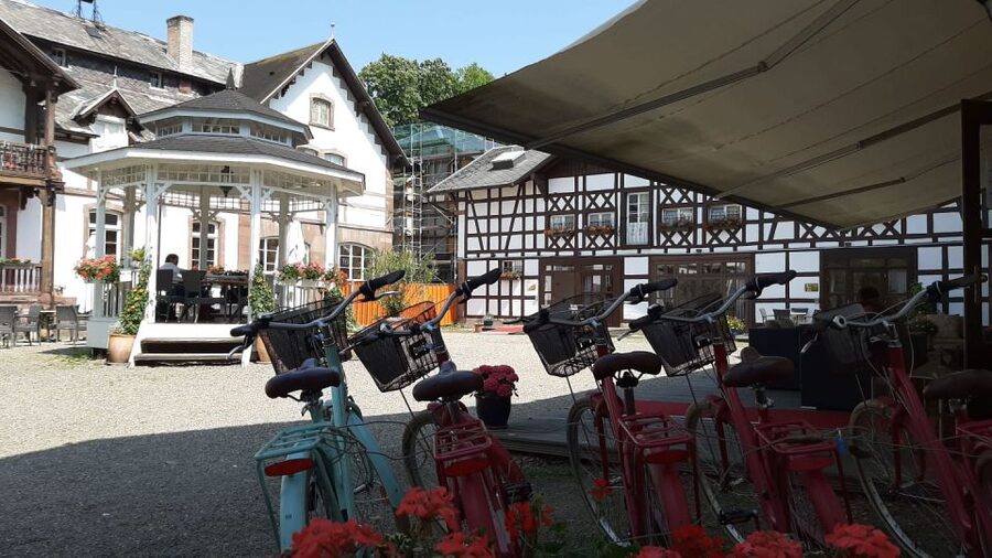 Strasbourg: 1-Day Bike Rental - Starting near Strasbourg train station