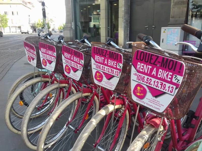Strasbourg: Bike Tour with a Guide bikes included - The European institutions and Strasbourg’s modern identity