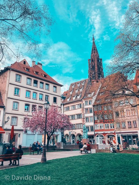 Strasbourg: Guided Historical Neighborhoods Walking Tour - Pace, weather, and physical demands