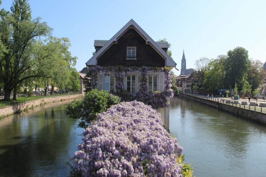 Strasbourg: Walking Tour with Local Guide - Key points at a glance