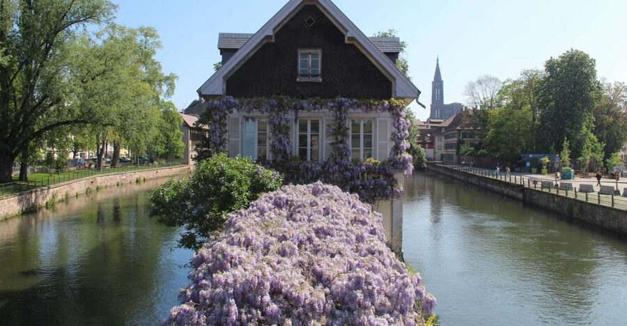 Strasbourg: Walking Tour with Local Guide - Why this two-hour walk works so well