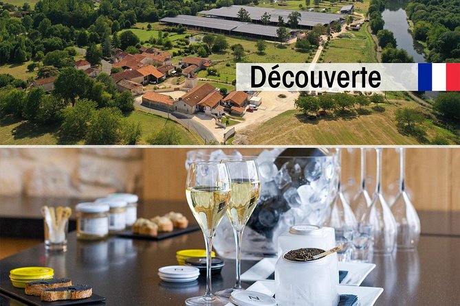 Sturgeon Fish-Farm Visit and Caviar Discovery Tasting in Neuvic - Key points to know before you book