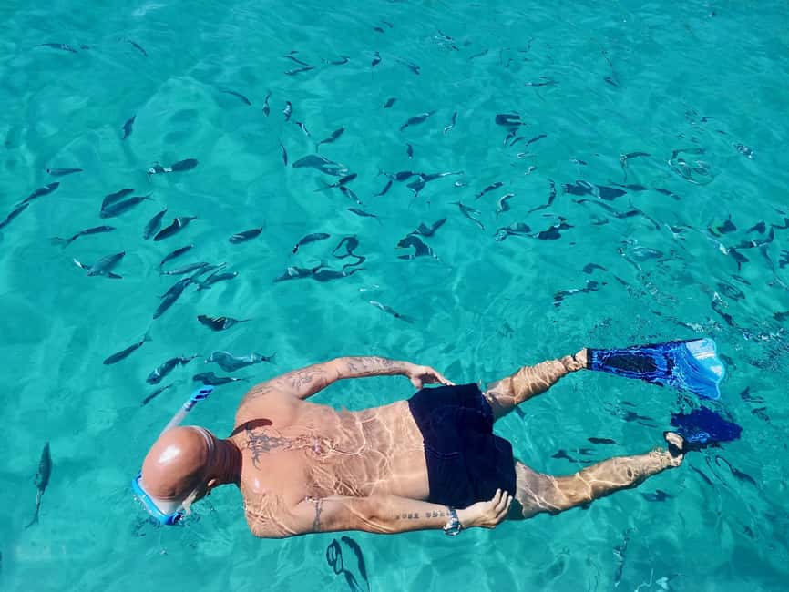 Sunset Boat Trip Visit, natural reserve coast - Swimming in clear water with fish