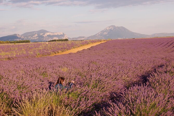 Sunset Lavender Tour in Valensole with pickup from Marseille - Why the evening departure works so well