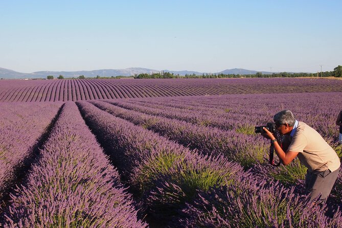 Sunset Lavender Tour in Valensole with pickup from Marseille - Vehicle, group size, and comfort