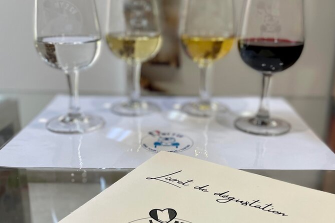 Tasting of 6 Bordeaux wines and pairing charcuterie & cheese - Learning to taste without taking it too seriously