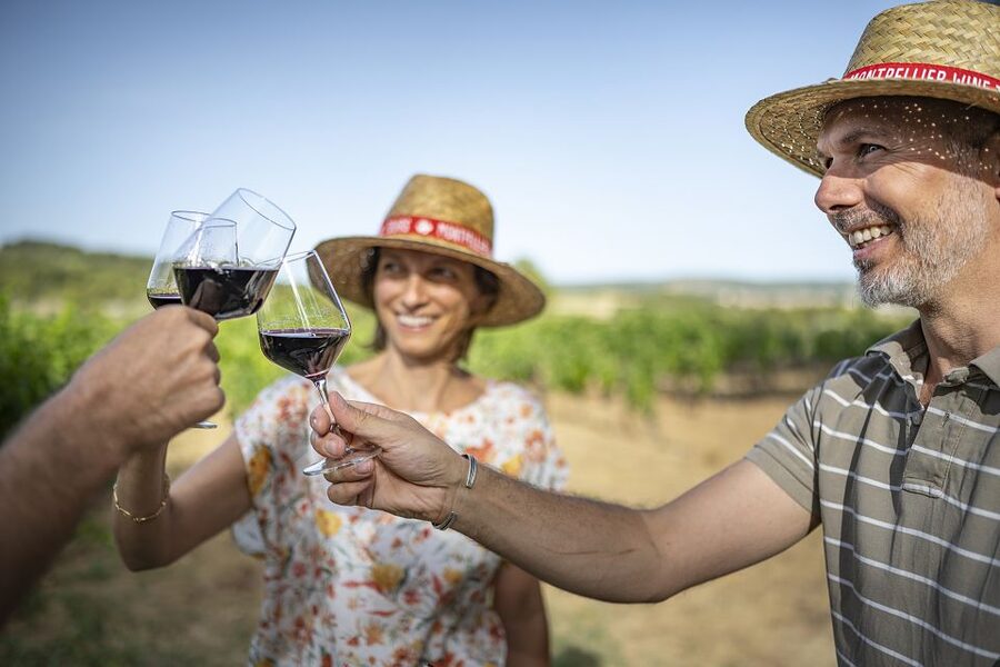 The Châteaux of Grès de Montpellier & Wine Tasting - What the guide adds to the wine tasting