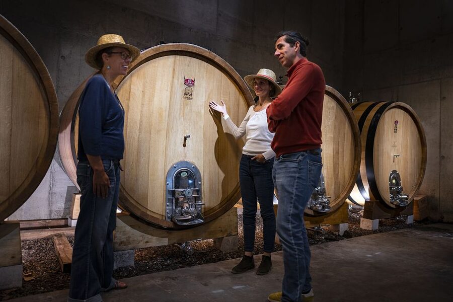 The Châteaux of Grès de Montpellier & Wine Tasting - A generous range of wines, with a little buying temptation