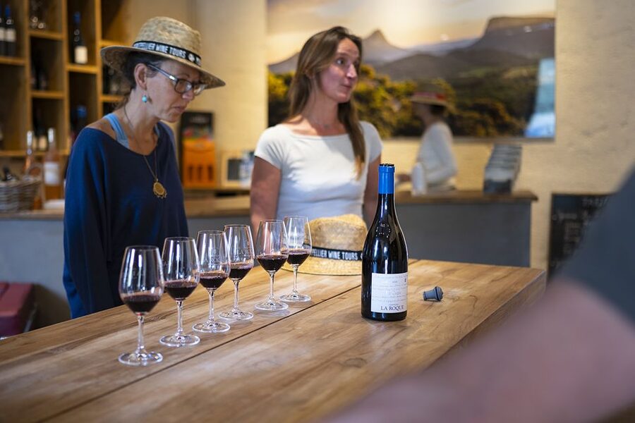 The Châteaux of Grès de Montpellier & Wine Tasting - Is $93 a fair price?