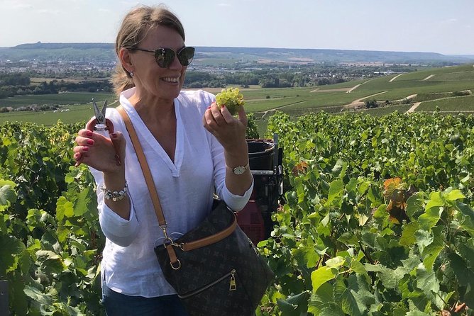 The Connoisseurs from Epernay (Private Half day Champagne Tour) - Through Cramant, Chouilly, and Avize