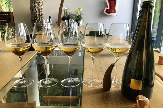 The Connoisseurs from Epernay (Private Half day Champagne Tour) - Oger and the Blanc de Blancs tasting