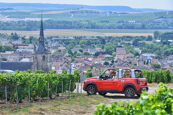 The Connoisseurs from Epernay (Private Half day Champagne Tour) - Epernay’s Avenue of Champagne