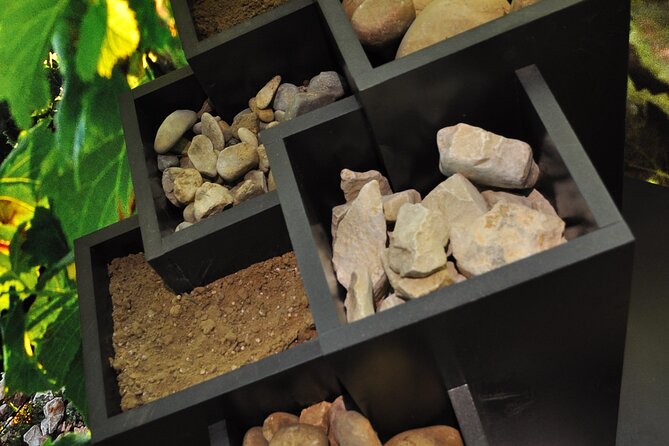 The discovery trail at Maison Brotte - Is $12.09 good value?