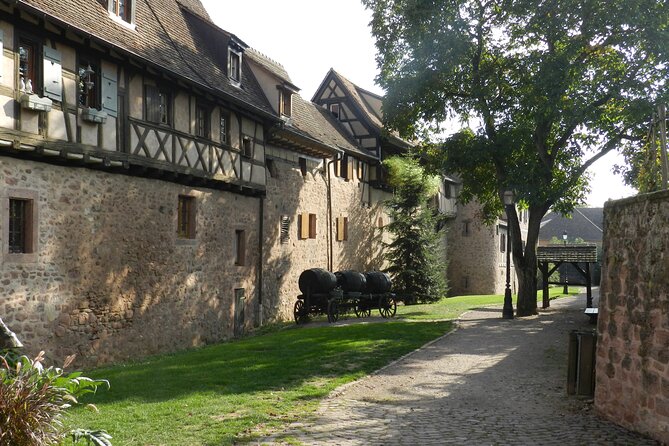 The Emblematic: visit of villages, Haut-Koenigsbourg, Wine tasting - Ribeauvillé with time for a proper walk
