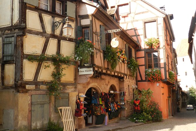 The Emblematic: visit of villages, Haut-Koenigsbourg, Wine tasting - Haut-Koenigsbourg Castle on its rocky perch