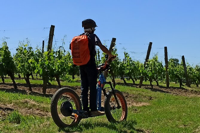 The greedy Rando Trotter of Theo - Starting at Le Petit Pey in Ribagnac